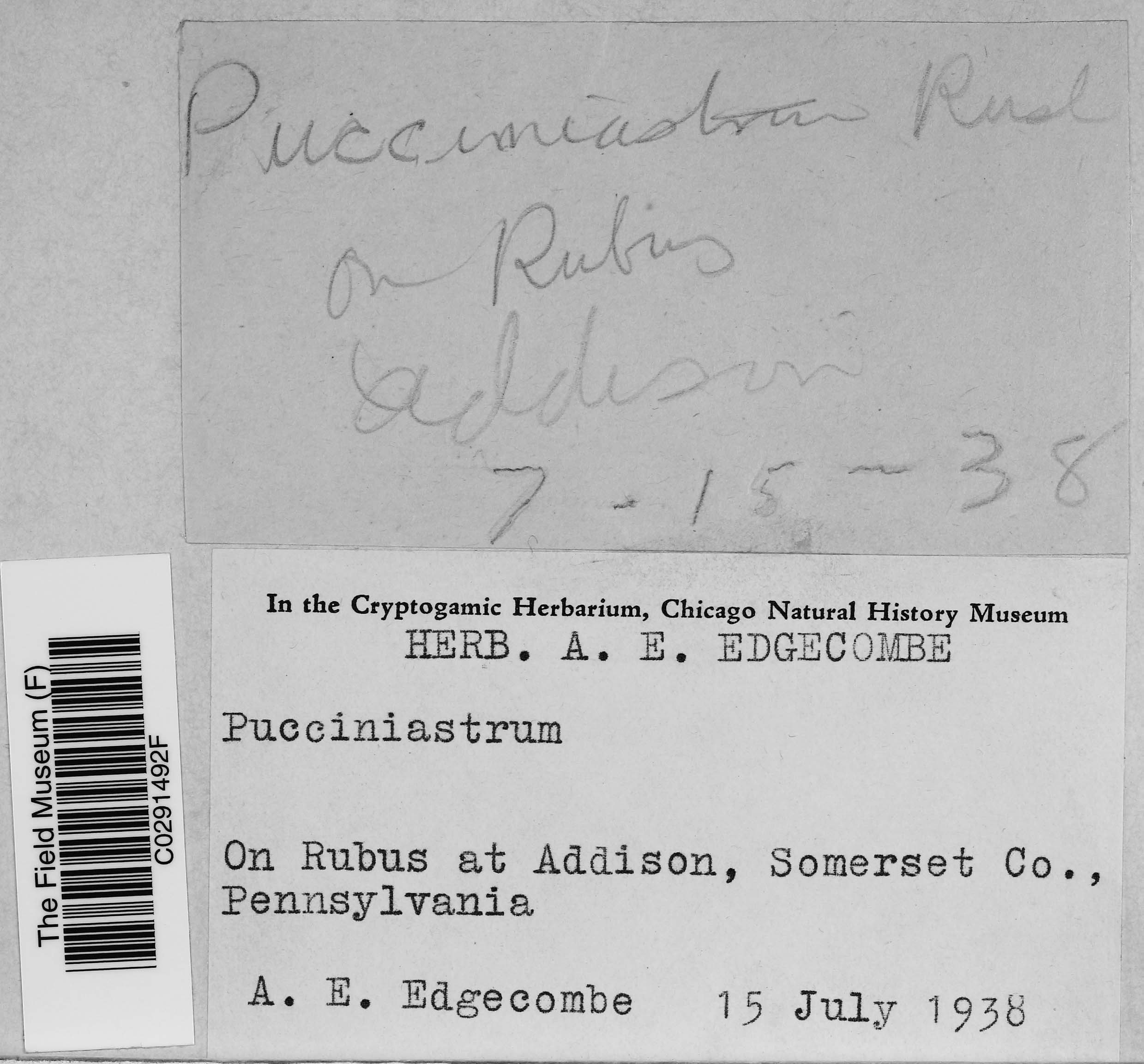 A. E. Botanical Collections