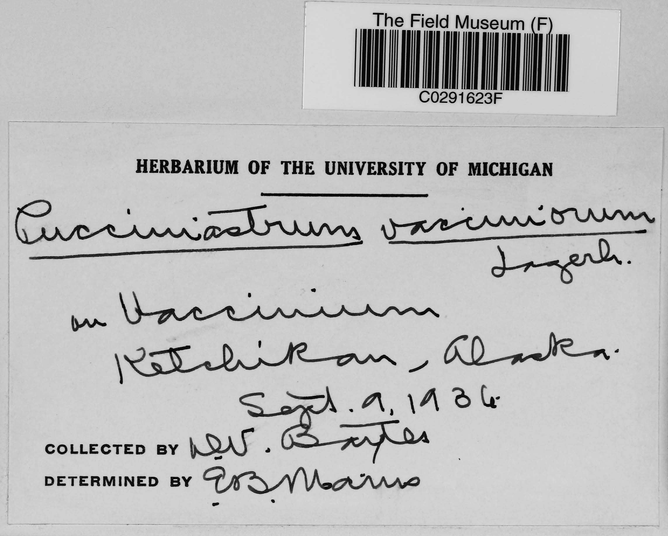 D. V. Baxter Botanical Collections