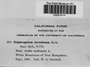 Label image for C0291953F