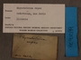 PE 91099 Label