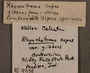 PE 91158 Label