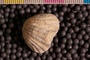 PE 5810 an