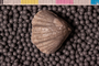 UC 24885 acu