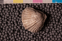UC 24885 dn