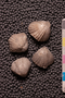UC 24885 group