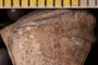 UC 3675 bcu