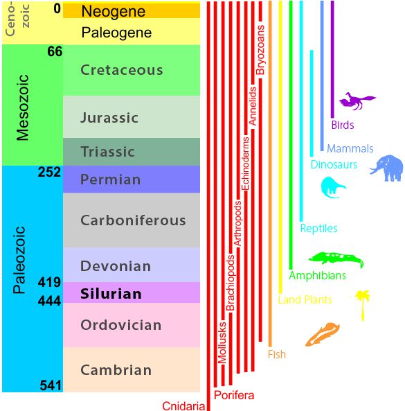 A chart of geologic time from the Paleozoic Era (541 million years ago) to present.  Colors are based on the standard color codes used by geologists today.  Keep an eye out for the Silurian Period 444-418 million years ago...