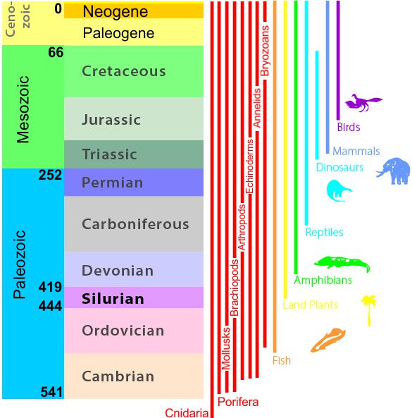 geologic time scale cenozoic