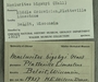 UC 19217 Label