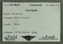 PE 58610 Label