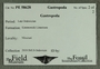 PE 58628 Label