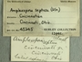 UC 45245 Label