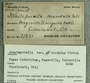 UC 17831 Label2