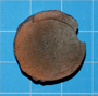 288444 clay (ceramic) coin impression