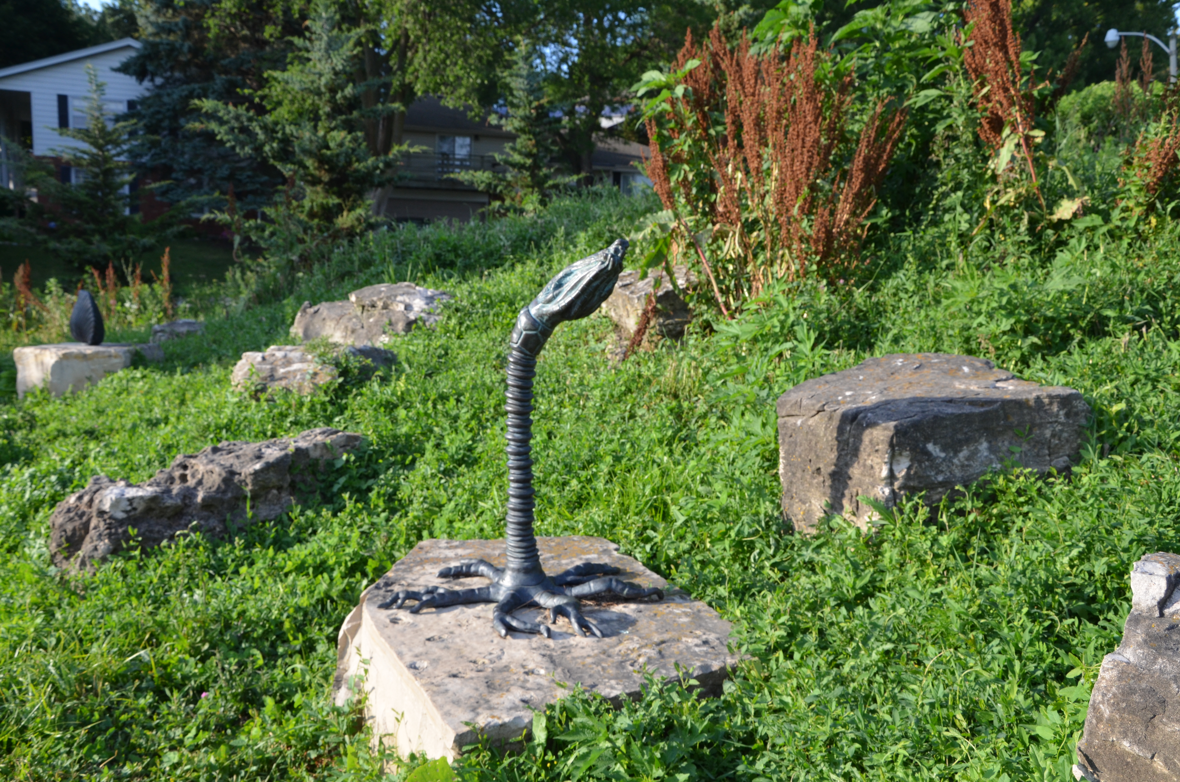 Close up of one of seven bronze sculptures (a crinoid) of Silurian sea life  by artist Laura Priebe at Hartung Park located along the Menomonee River Parkway between Burleigh Street and Capitol Drive. Hartung Park is is a joint City of Milwaukee and City of Wauwatosa Park Carbonate rock of the Racine Formationwas quarried from this site from 1910 to 1961. The quarry was over 100 feet deep and approximately 3 millin tons of rock was quarried here. The quarry became a dump in the 1960's and in 2005 was converted into a park.