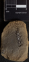 PP32983_image_3
