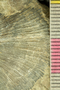 PE 58052 bcu