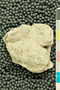 PE 4259 an