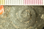 PE 58511 acu
