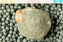 PE 58511 an
