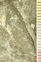 UC 59918 acu