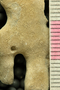 UC 17379 acu