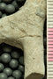UC 29432 acu
