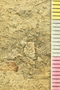 UC 39773 acu