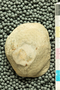 UC 45245 an