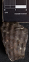 PP46078_image_2