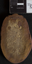 PP3801_image_3