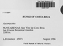 Label image for C0281153F