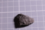 UC 17512 fossil4