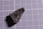 UC 17512 fossil5