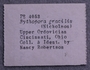 PE 4053 label