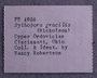 PE 4056 label