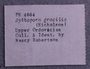PE 4064 label