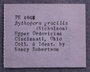 PE 4068 label