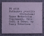 PE 4115 label