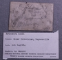 UC 59993 label