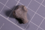 PE 4055 fossil