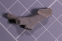PE 4070 fossil