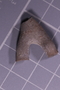 PE 4115 fossil