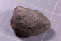 UC 1497 b fossil