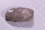 UC 1498 a fossil