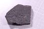 UC 3773 fossil