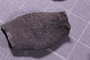 P 10782 fossil2