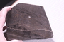 PP 17972 fossil