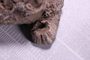 UC 1053 b fossil2