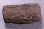 UC 51697 fossil